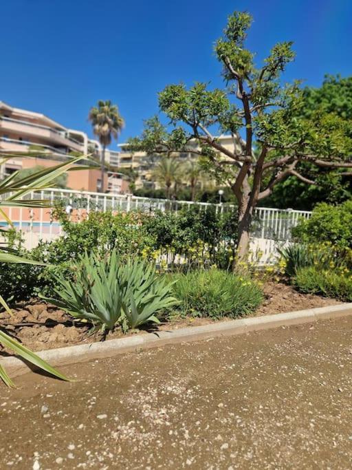 Appartement Vue Mer Sur Les Hauteurs De Nice Exterior foto
